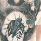 Skull T-shirt Knit