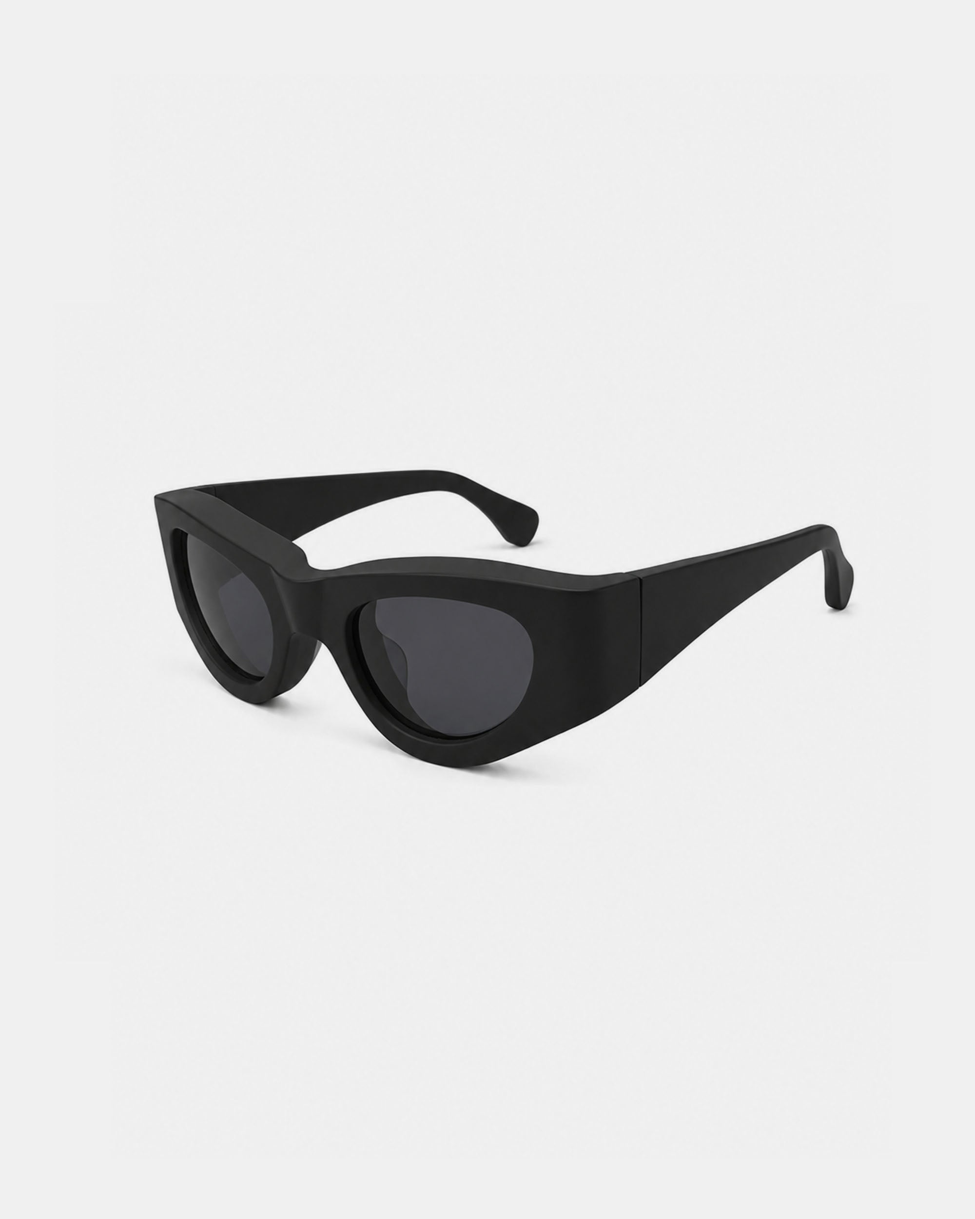 ERL Erl Bro Sunglasses – JANASTRA