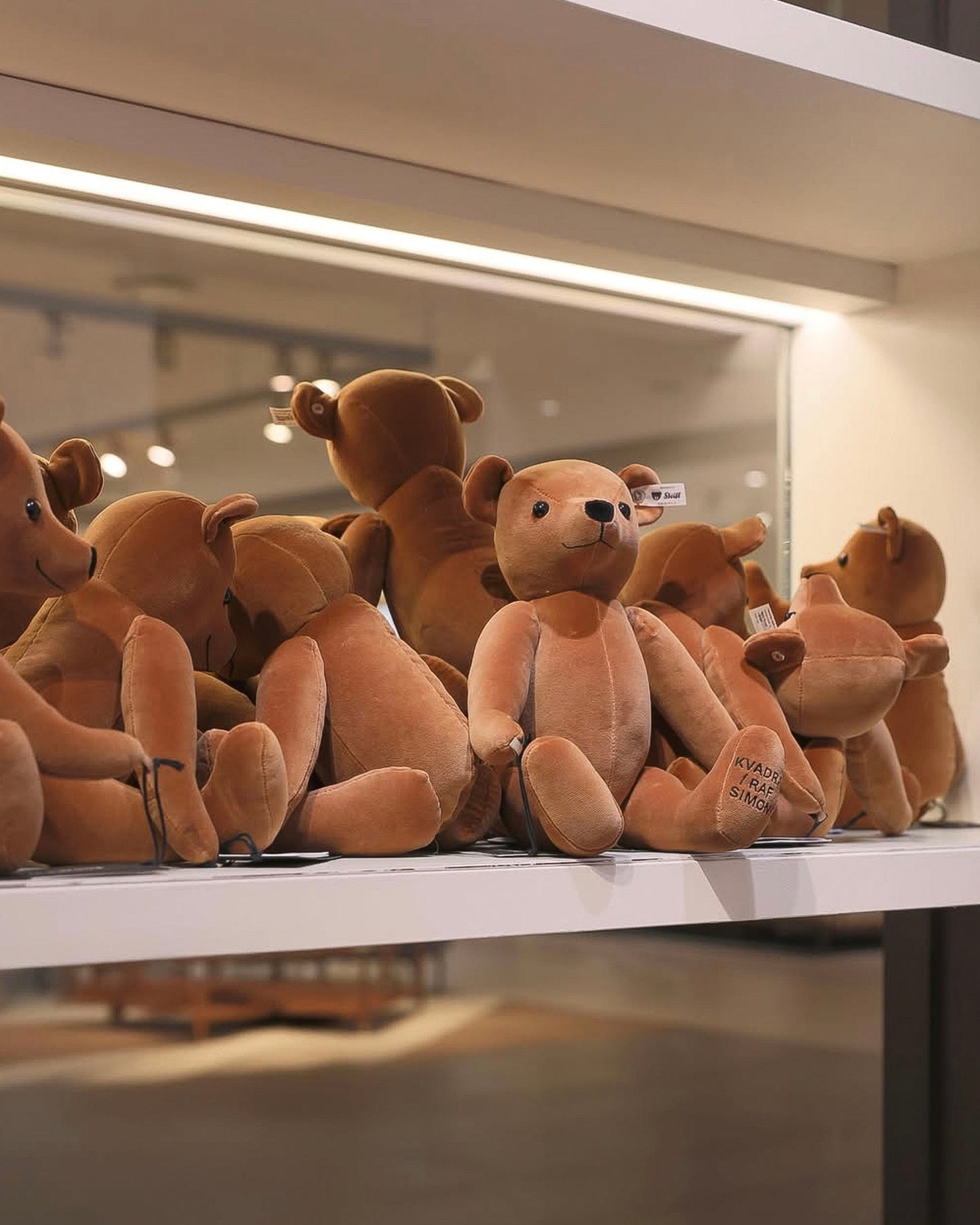 STEIFF ASATOR VELVET TEDDY BEAR