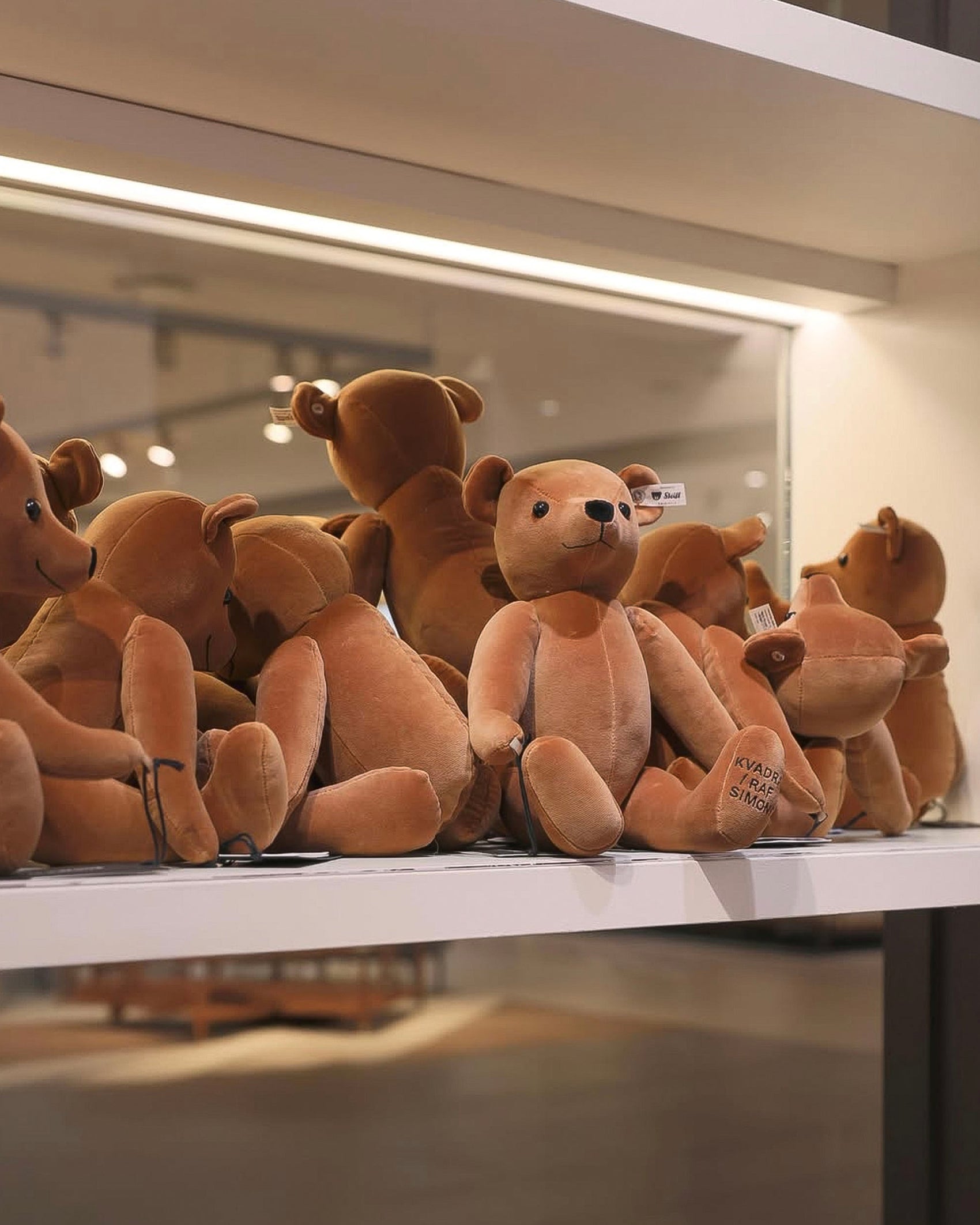 STEIFF ASATOR VELVET TEDDY BEAR
